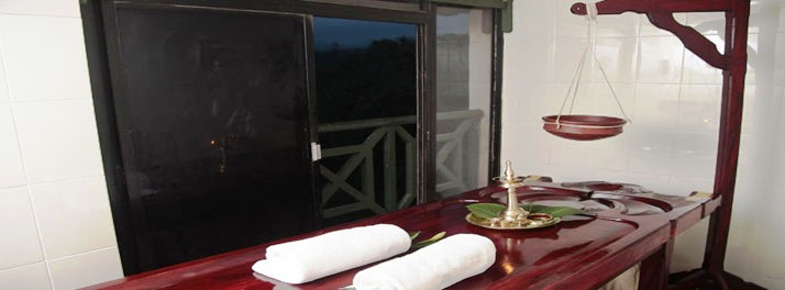 1390/Abad Copper Castle - Munnar 11.jpg